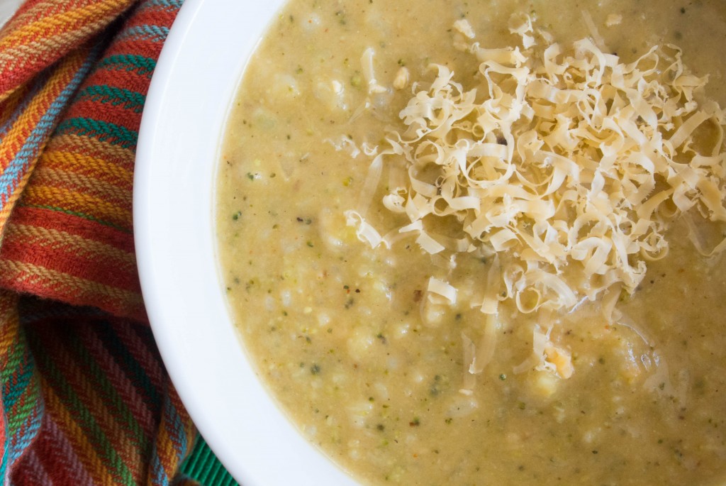Broccoli Cheese Soup {Healthy and Easy}